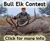 Bull Elk Contest