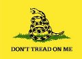 Dont_Tread_On_Me_4.jpg