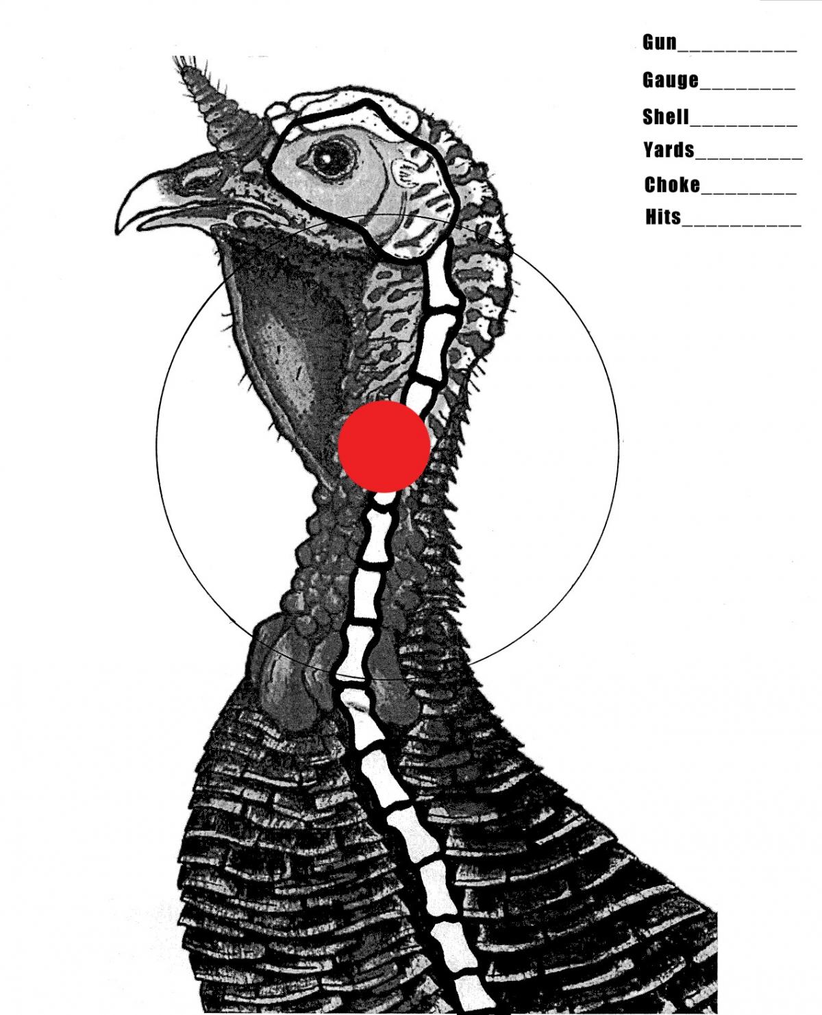 Free Printable Printable Turkey Targets Printable Blank World