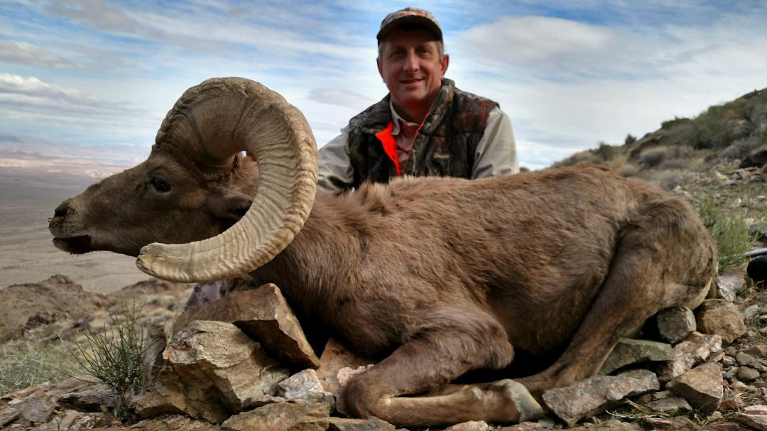 Desert vs Rocky Mountain Bighorn Sheep Hunting