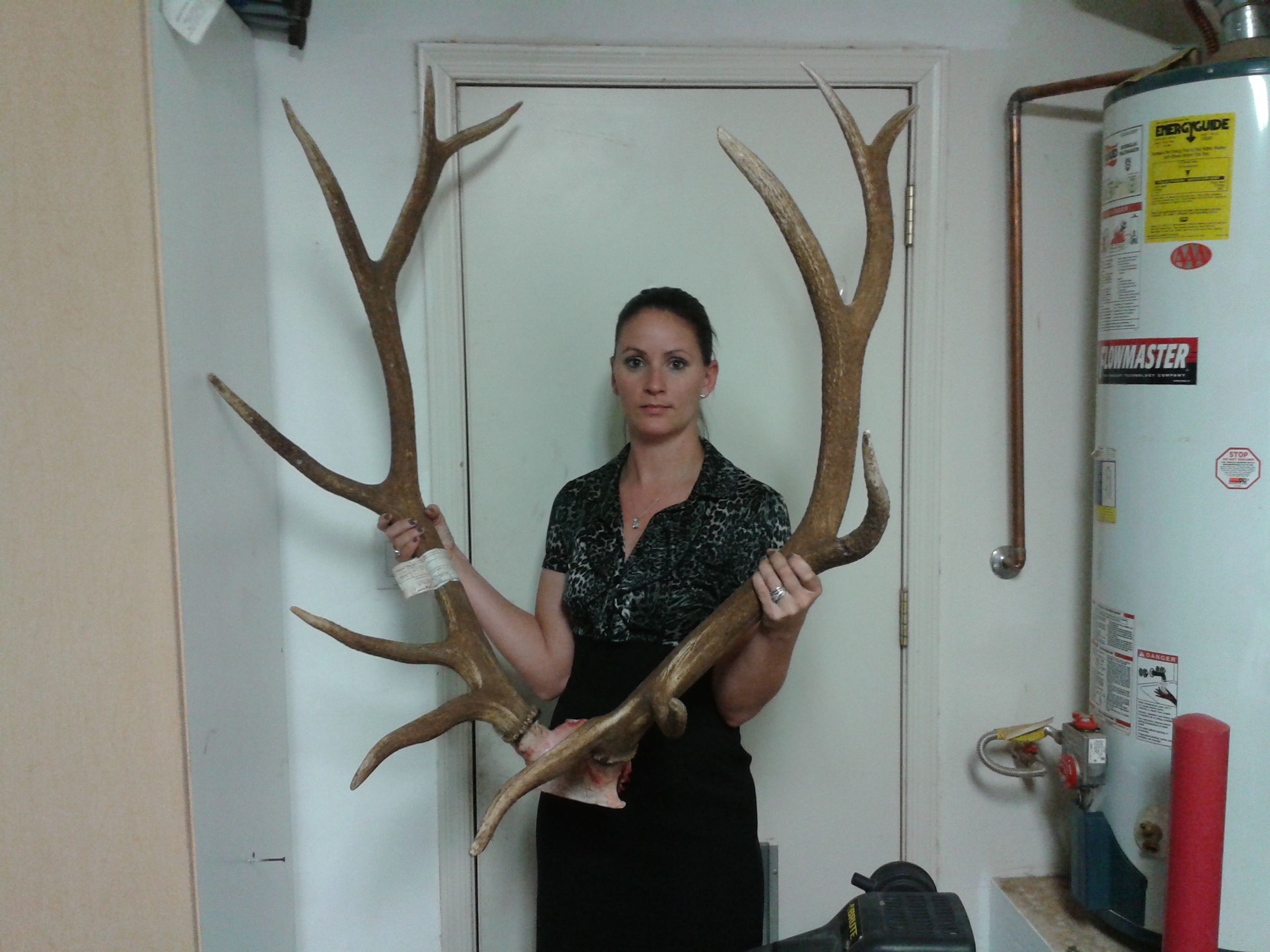 Prostitutes Elk