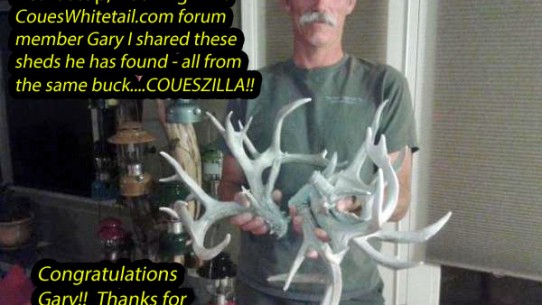 Gary found sheds from Coueszilla!!