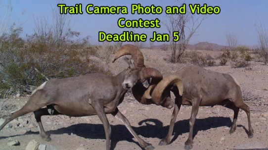 4th Annual Trail Camera Photo and Video Contest