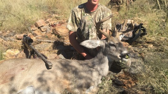 100+ coues