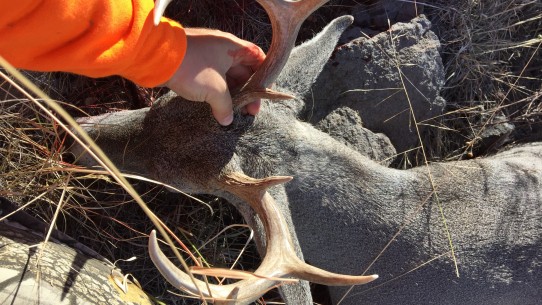 30a second chance solo hunt