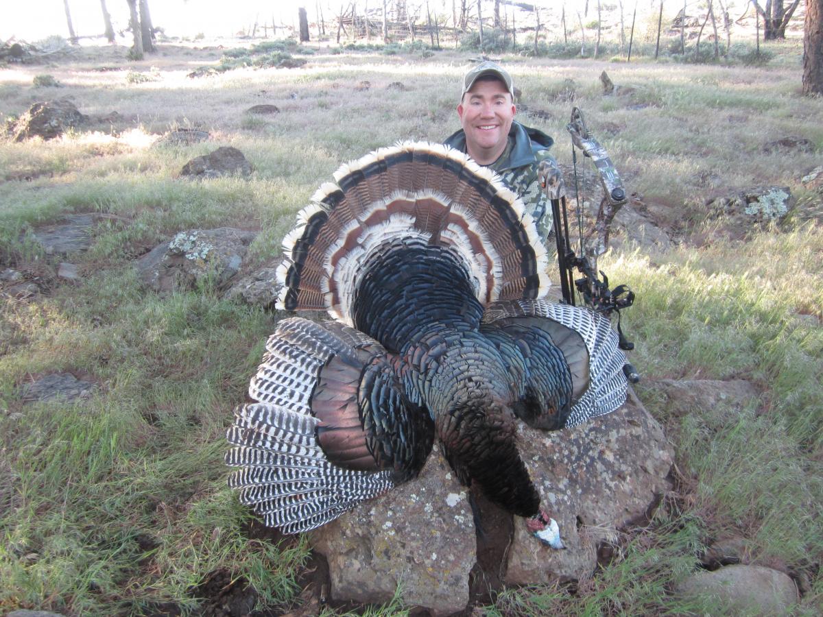 Az Rio Grande Turkeys Coueswhitetail Com Discussion Forum