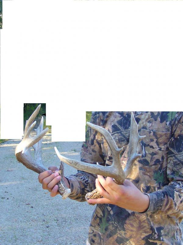 post-2688-1219085658_thumb.jpg