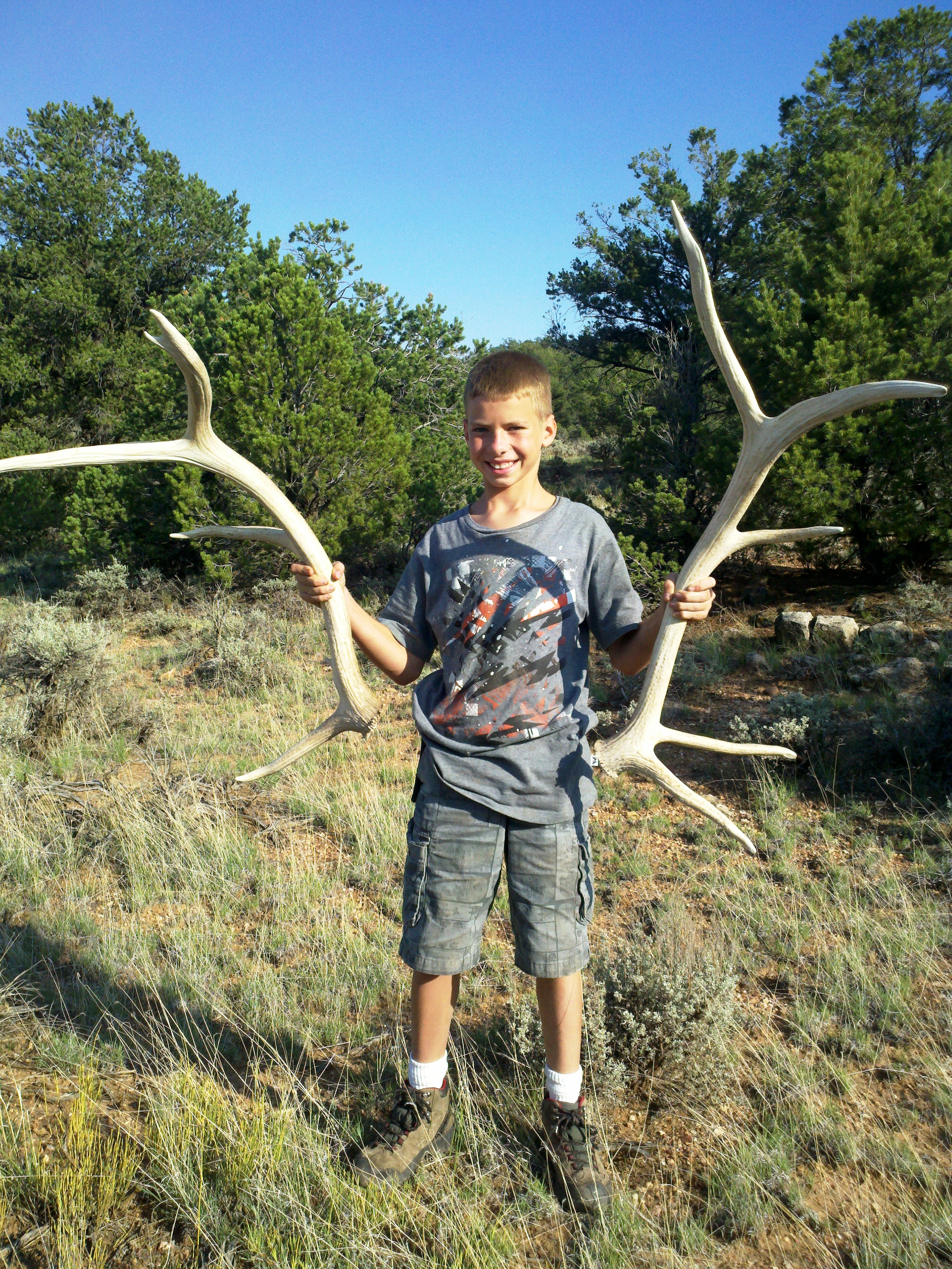 The Phrase Raghorn (updated w shed pics) - Elk Hunting 