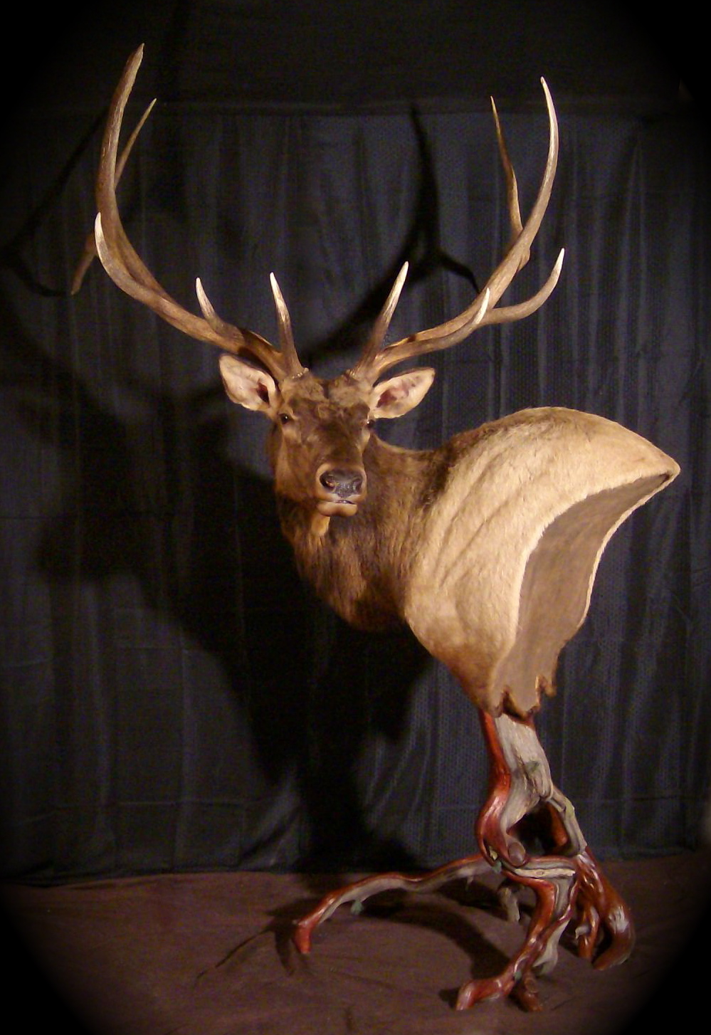 Custom Elk Pedestal.