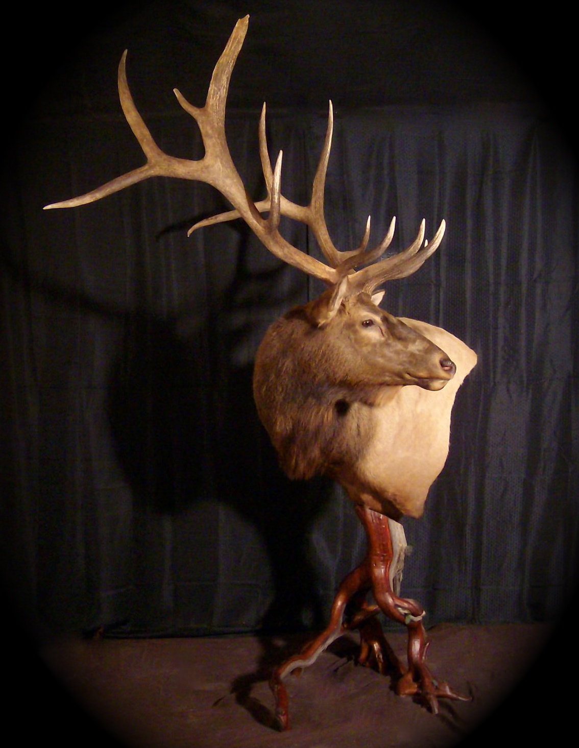 Custom Elk Pedestal.