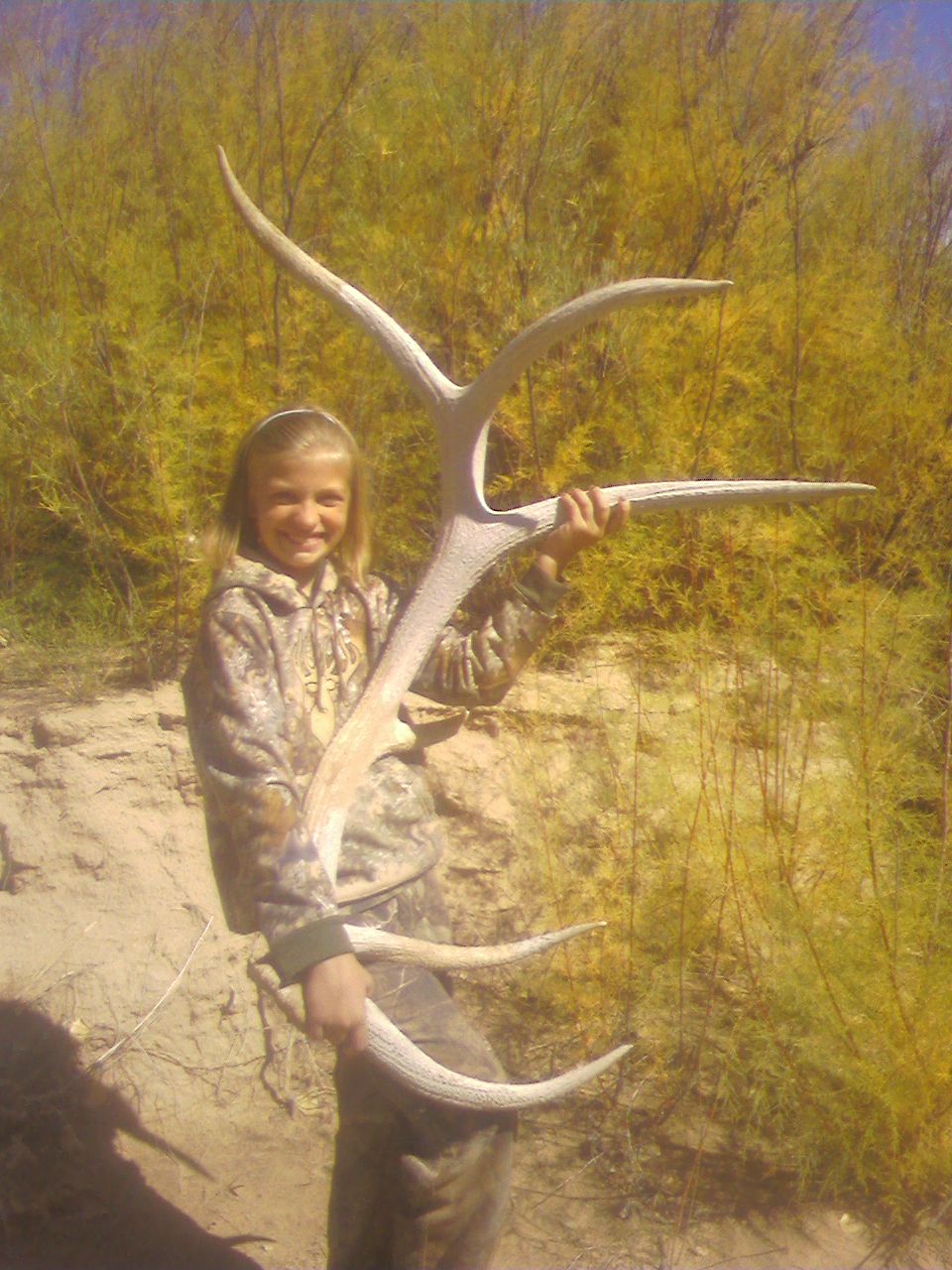 BIG elk sheds! BIG Mule Deer shed! - Shed Hunting - CouesWhitetail.com  Discussion forum
