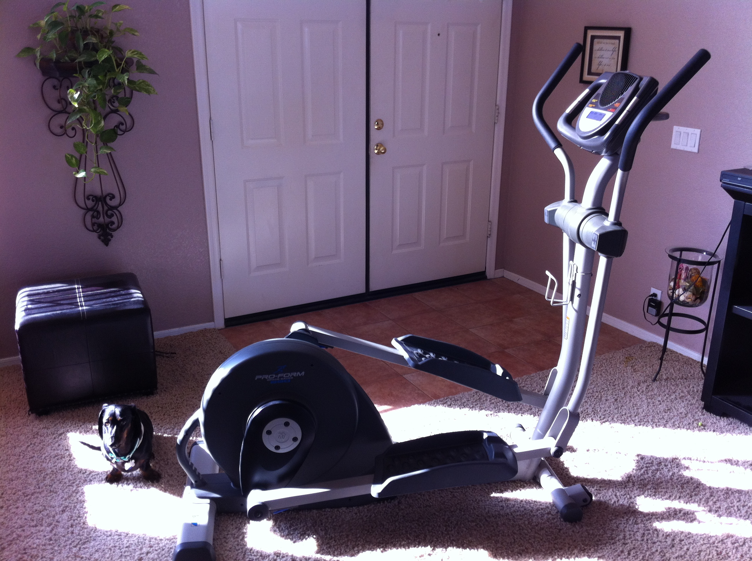 Proform space saver 2025 elliptical