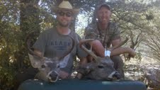 coues whitetail deer buck Arizona