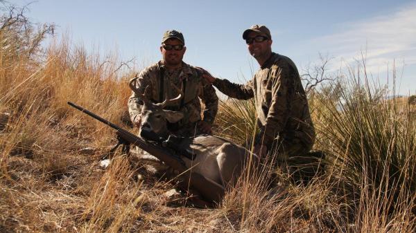 coues whitetail deer buck Arizona