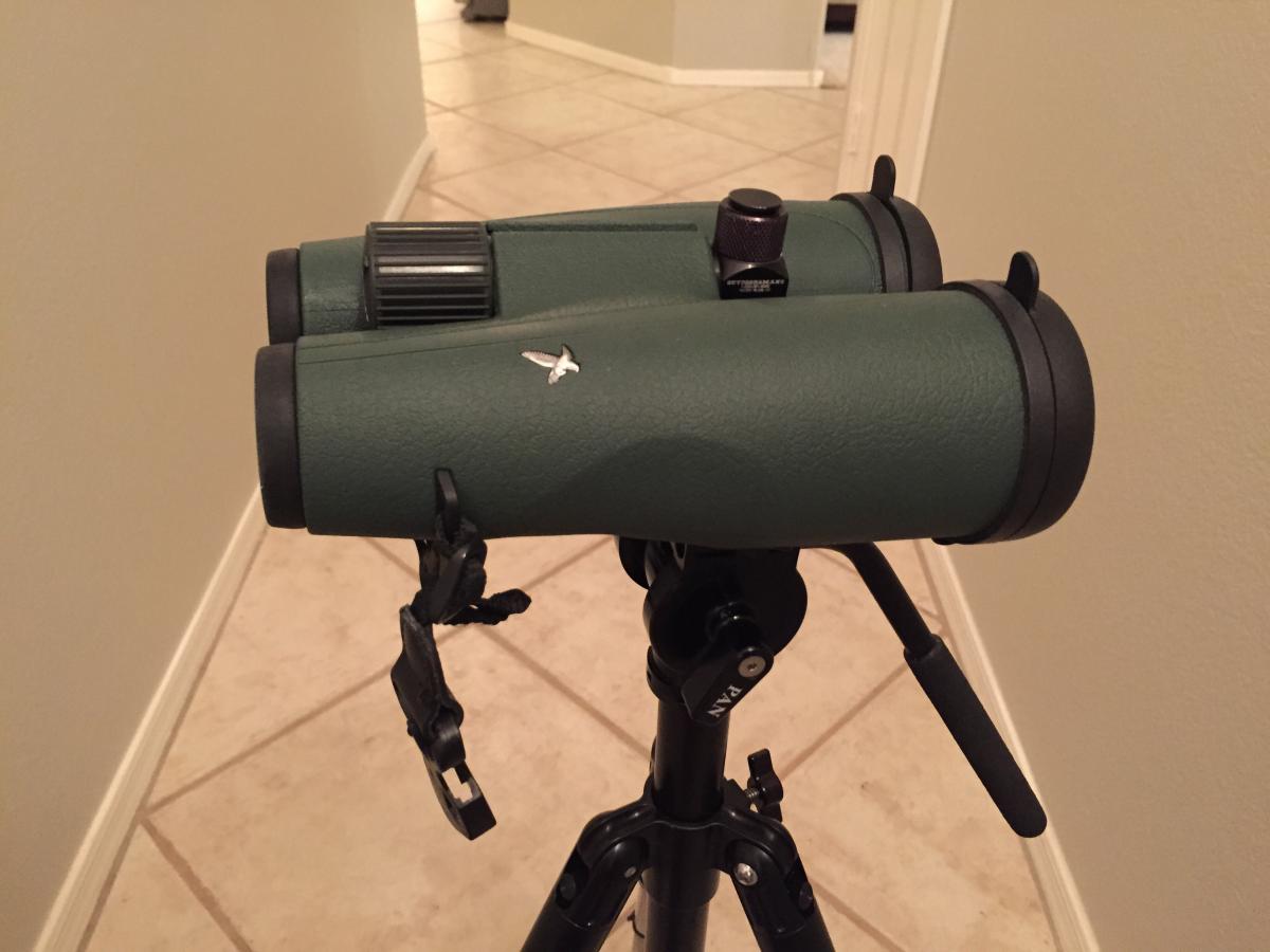 swarovski 15x56 hd