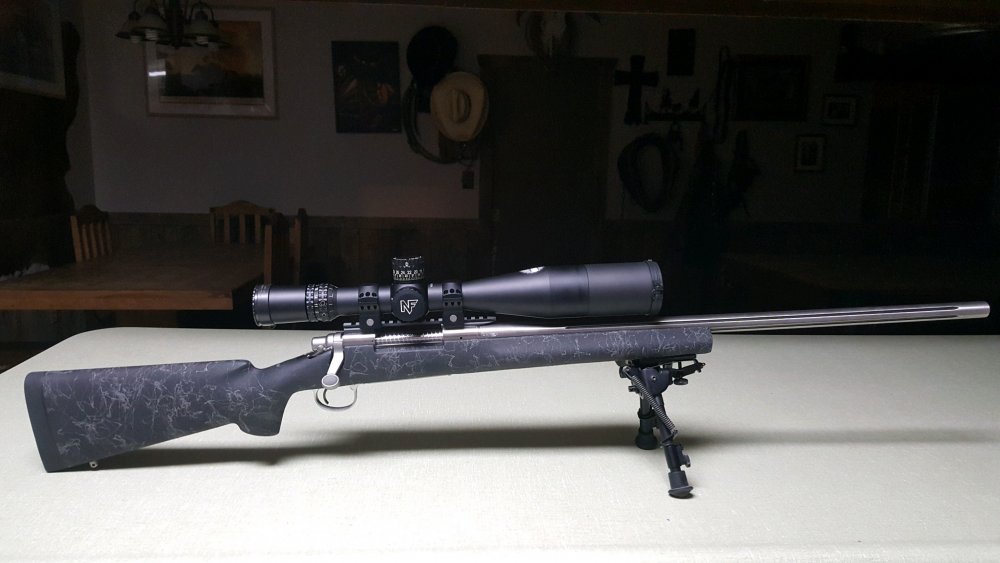 Gun2.JPG