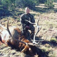 Colorado Diy Otc Elk Hunting Coueswhitetail Com Discussion Forum