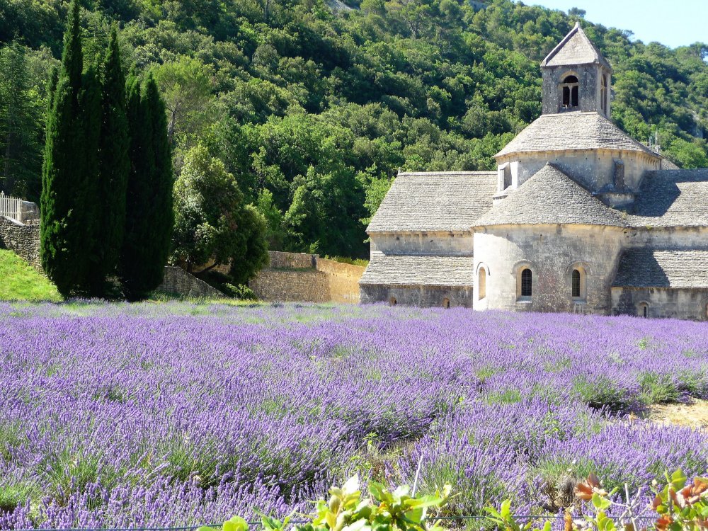 Abbey Notre-Dame de Sénanque 3.JPG