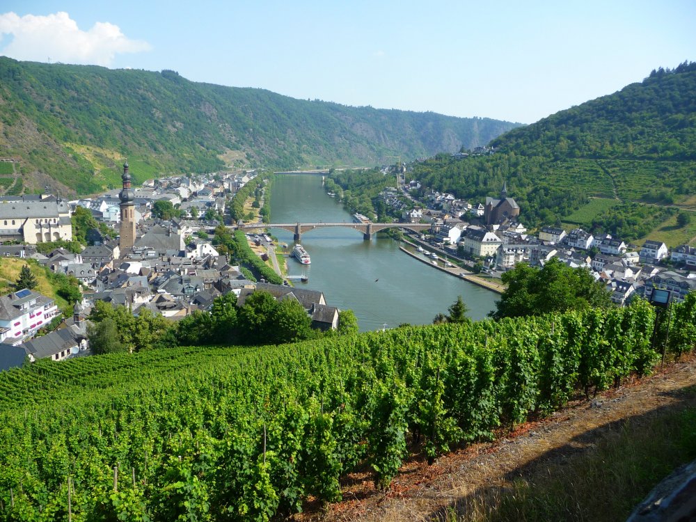 Cochem Moselle River.JPG