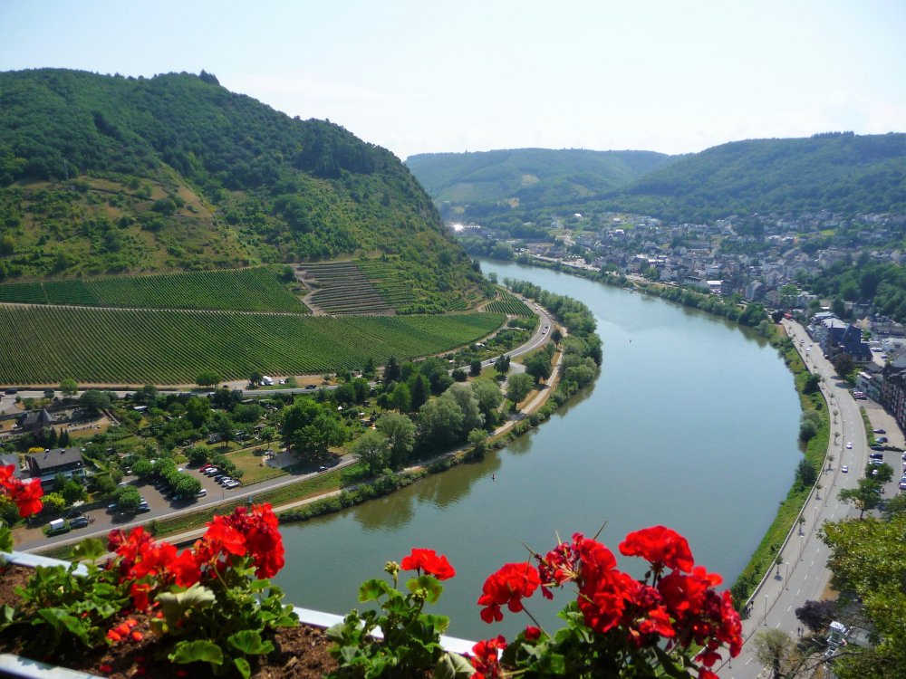 Cochem Moselle River (2).JPG