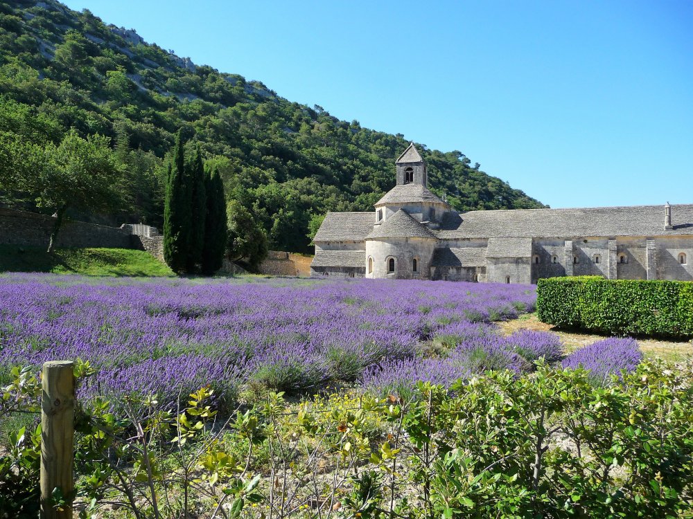 Abbey Notre-Dame de Senanque 1.JPG