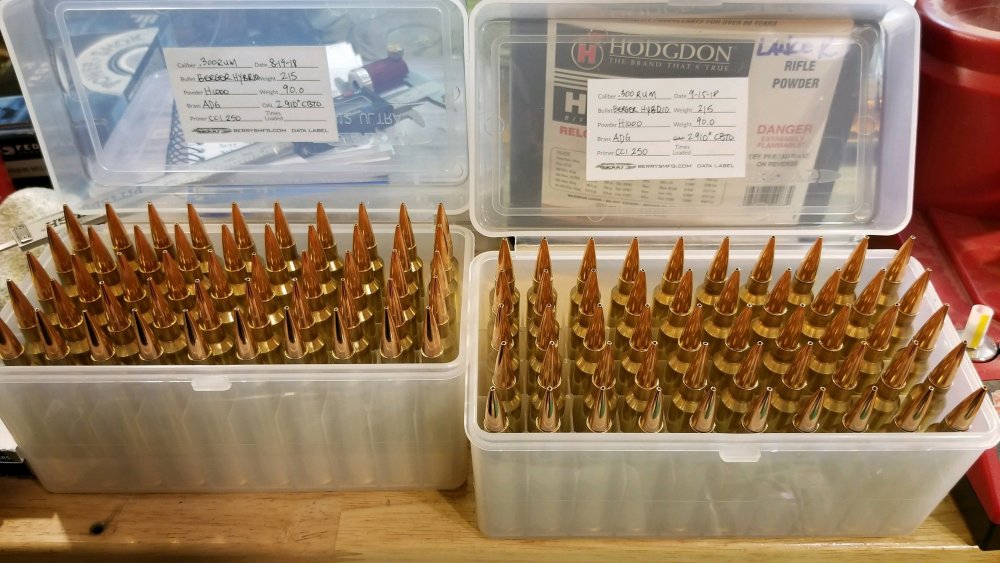 300 ammo.JPG