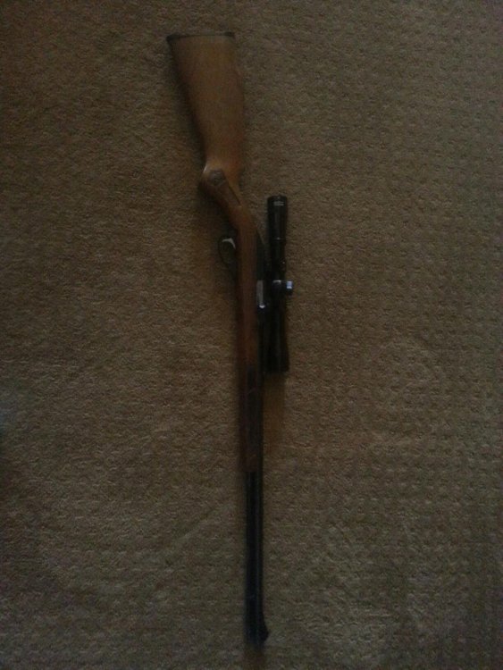 marlin mod 60 .22.jpg
