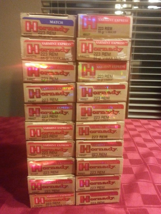 all hornady .223.jpg