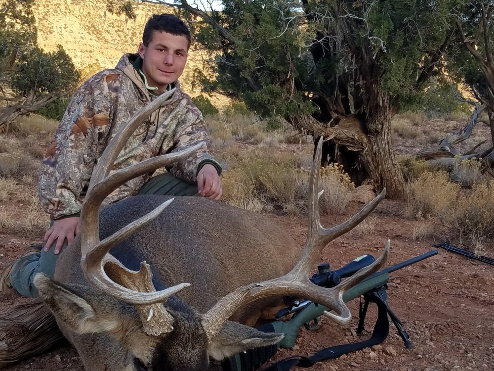 Lucas mule deer 1.jpg