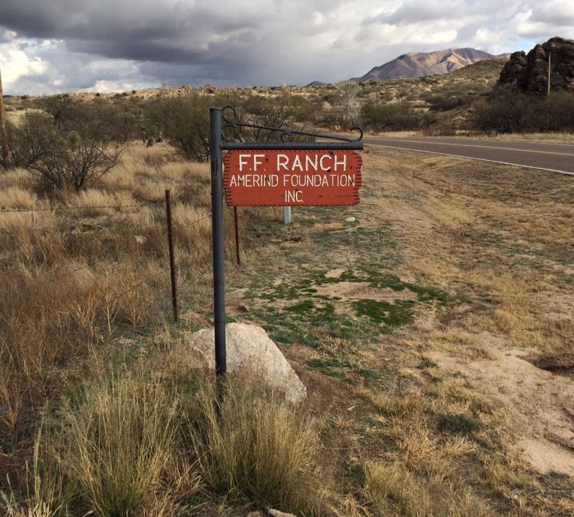 amerind2.thumb.jpg.c8a31882e6e81403d4bd30b6ac01f4fb.jpg