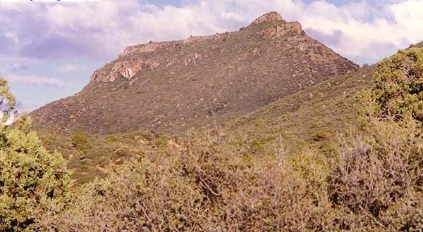 Turett-Peak-Arizona-by-Jeff-Burgess.jpg.582285a350bdd6fda8c3c4925aa08b1d.jpg