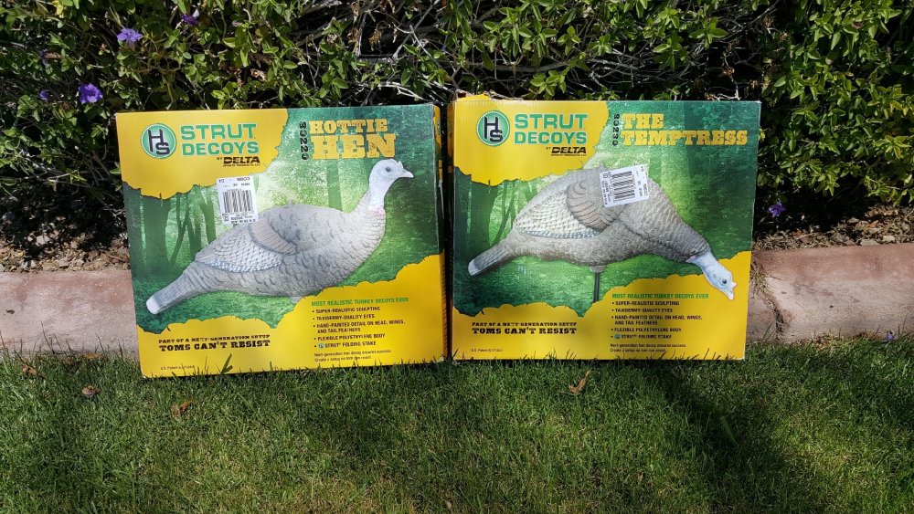 decoys.jpeg
