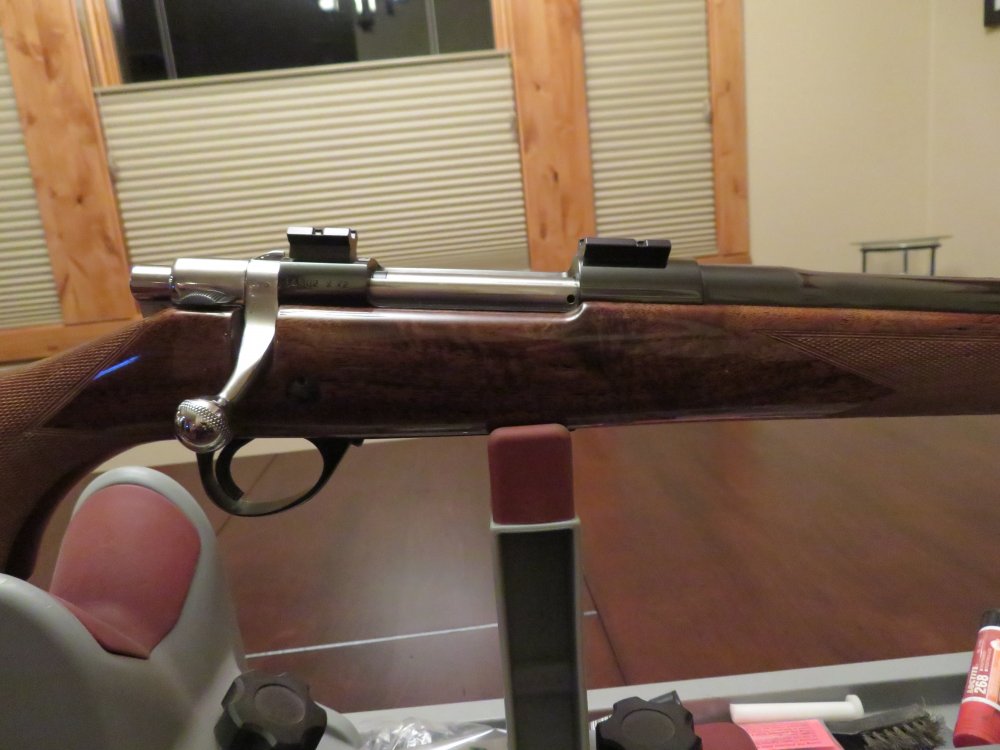 Browning 243 Win..JPG