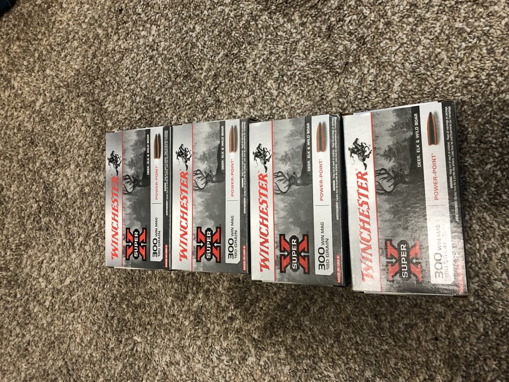 300 Win Mag Ammo.jpg