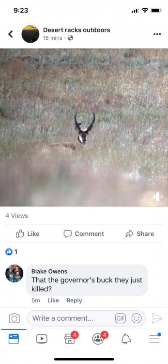 received_397597974224346.jpeg