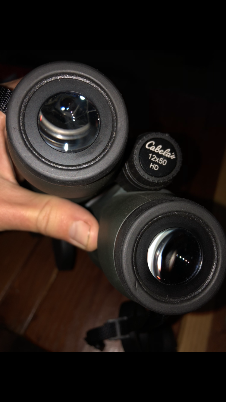 Cabelas 12x50 hot sale binoculars