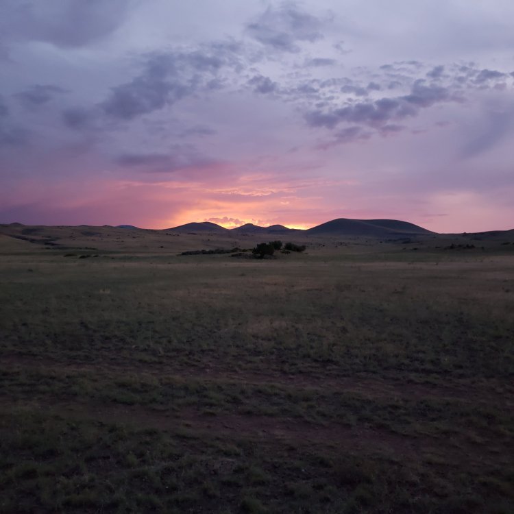 20190827_191444.jpg