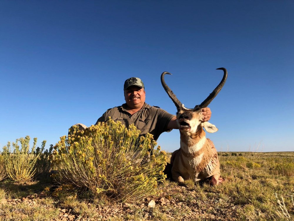 Az Antelope 2019 3.jpg