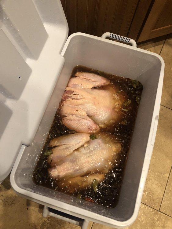 Turkeys in Brine.jpg