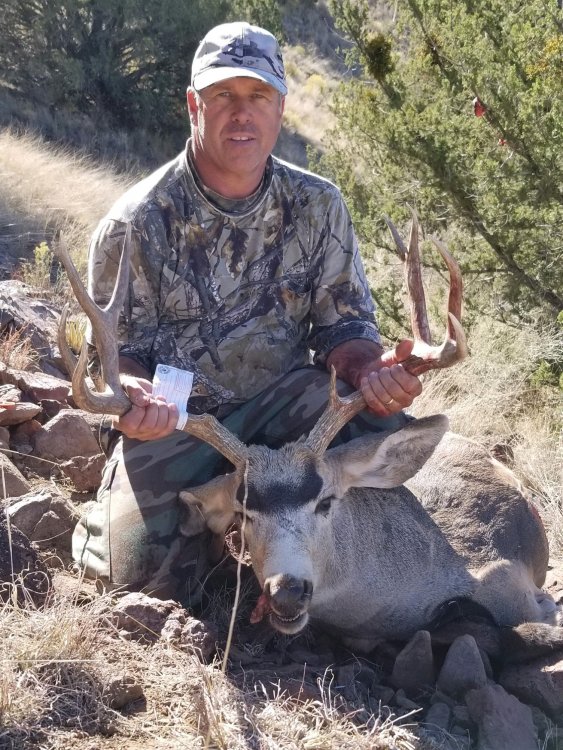 2019 mule deer 4.JPG