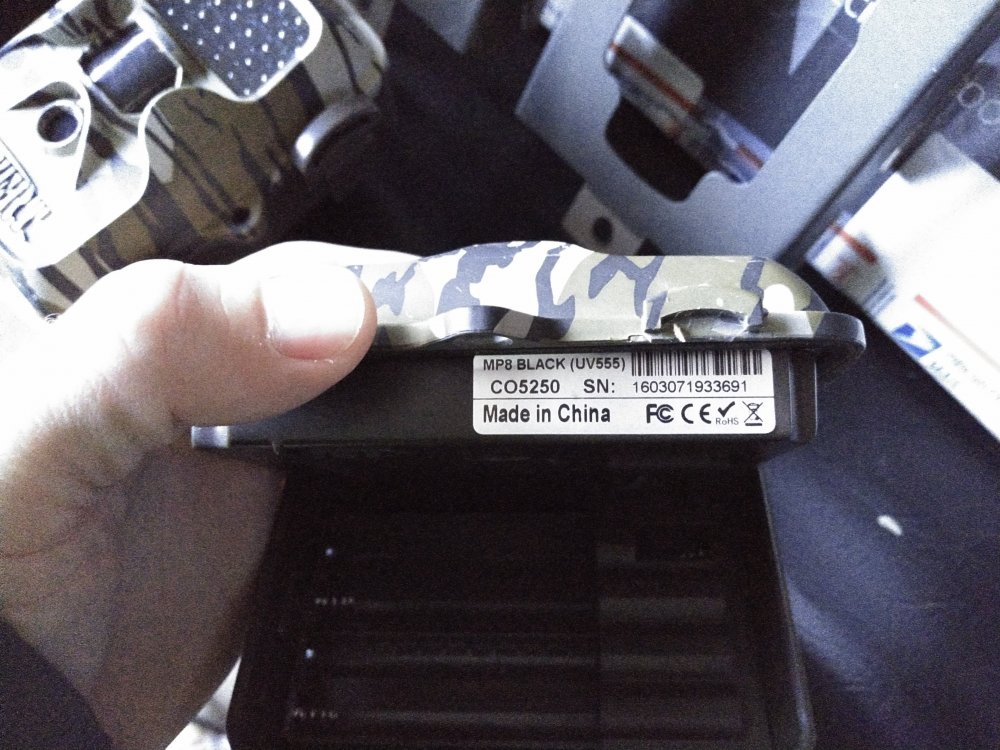 KIMG0166.JPG