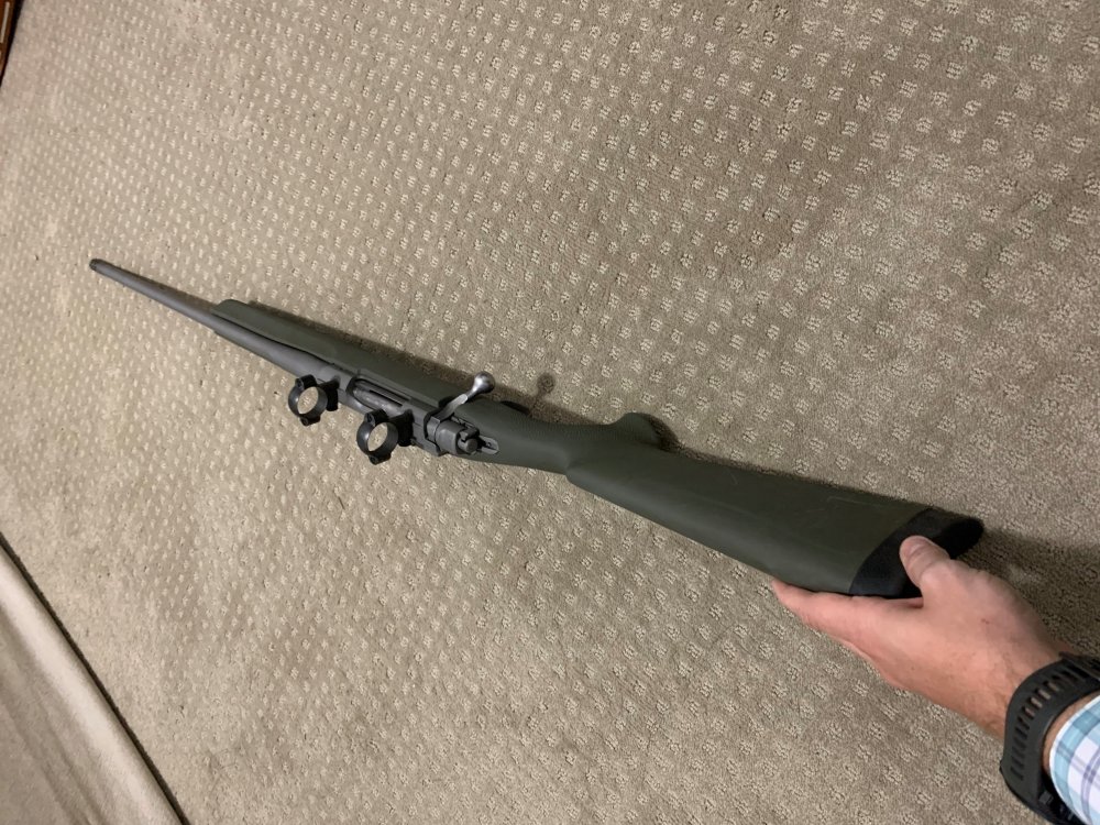 Ruger M77-02.jpg