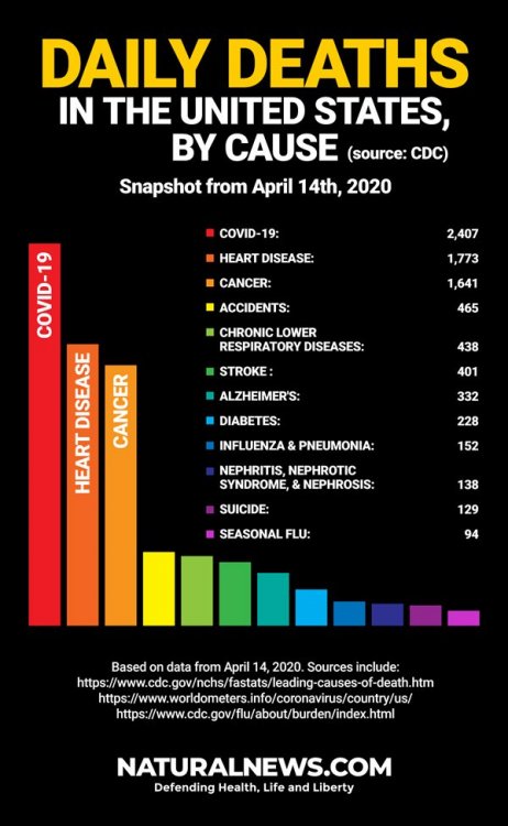 Daily-Deaths-in-the-USA-600.jpg