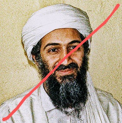 11905666_Osama_bin_Laden_portrait2.jpg.550d883756c70e2856b646fb7cc733b8.jpg