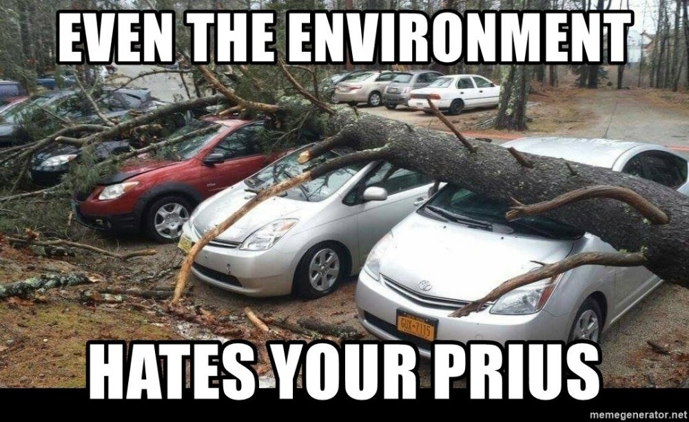 Prius 2.jpg