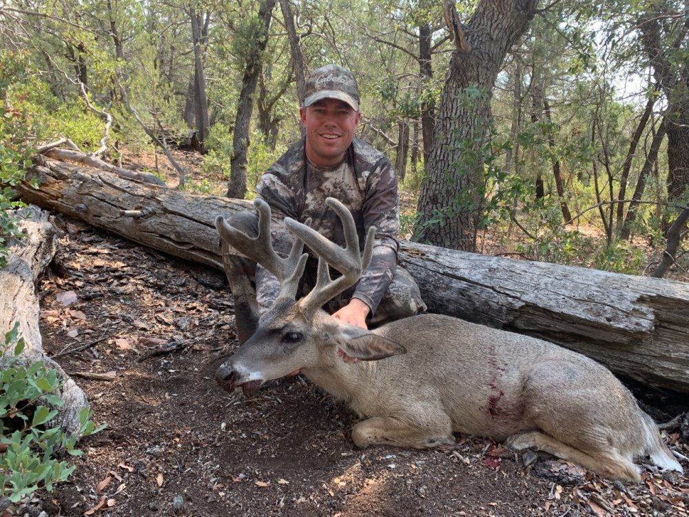 Archery Coues Deer 1.jpg