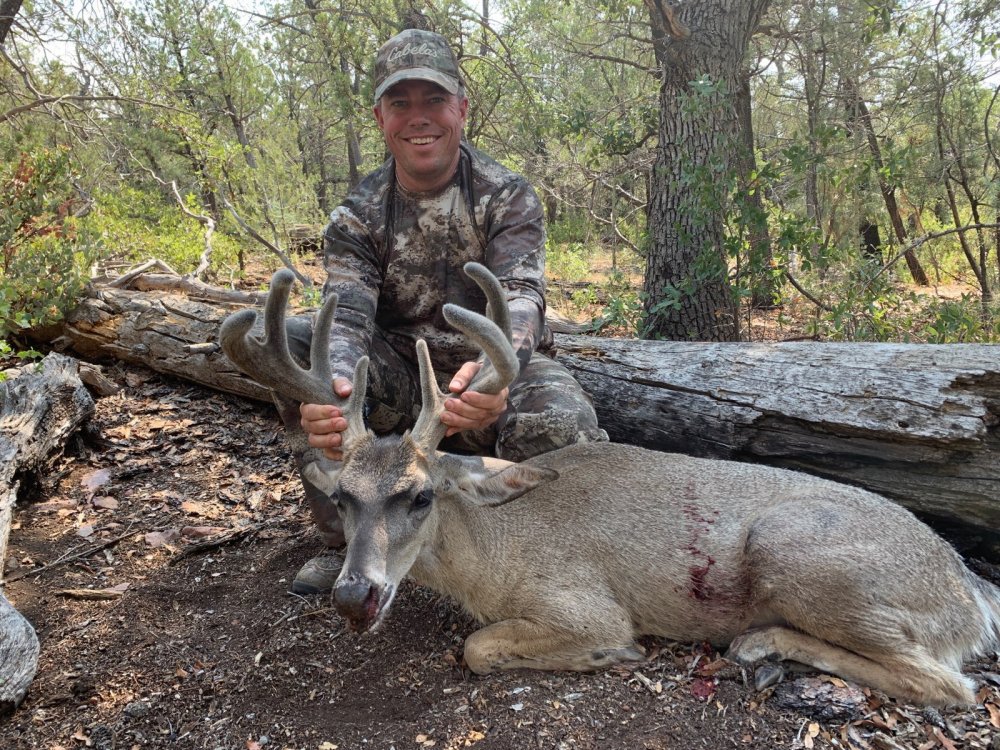 Archery Coues Deer 3.jpg