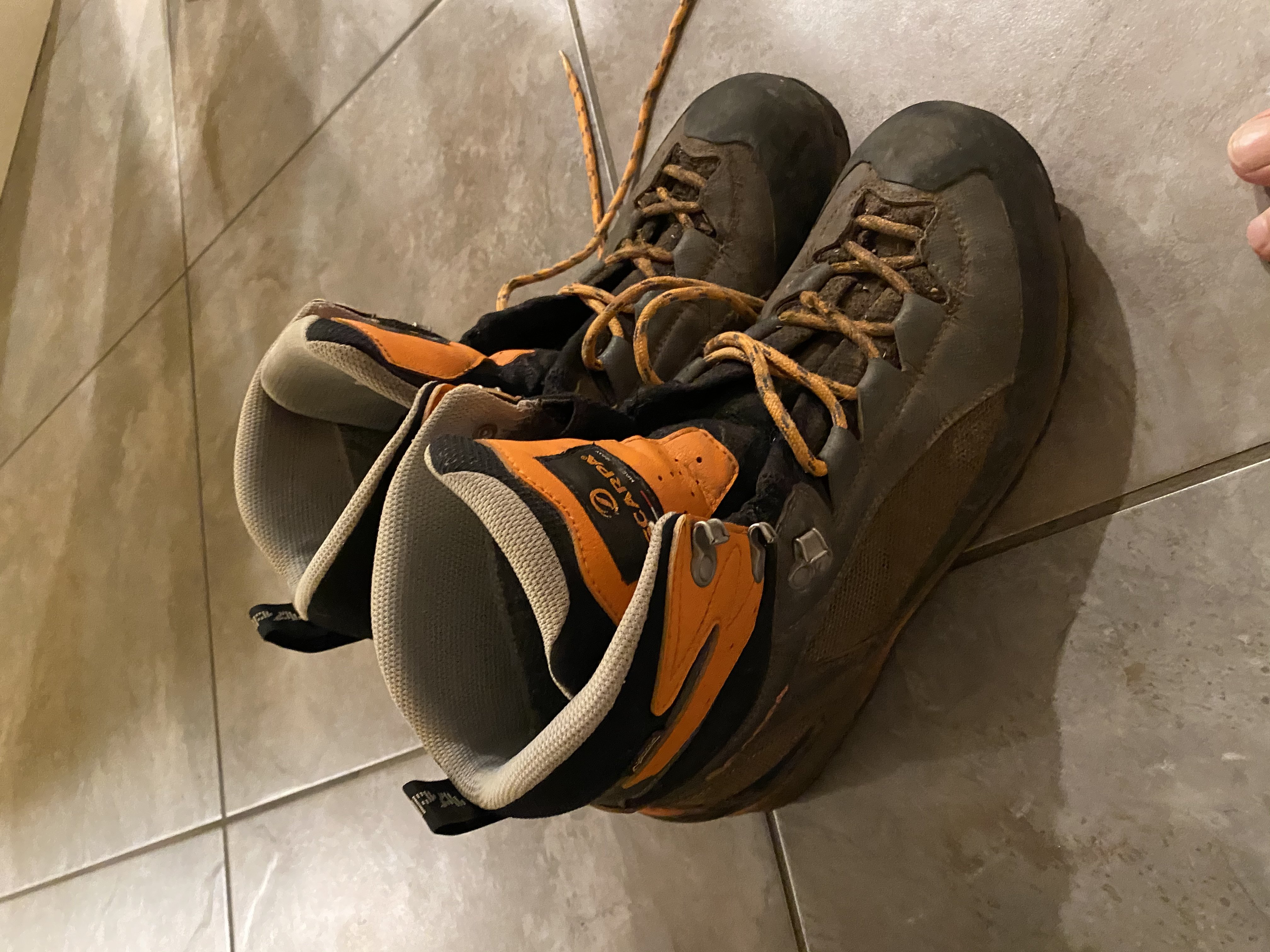 scarpa boot laces