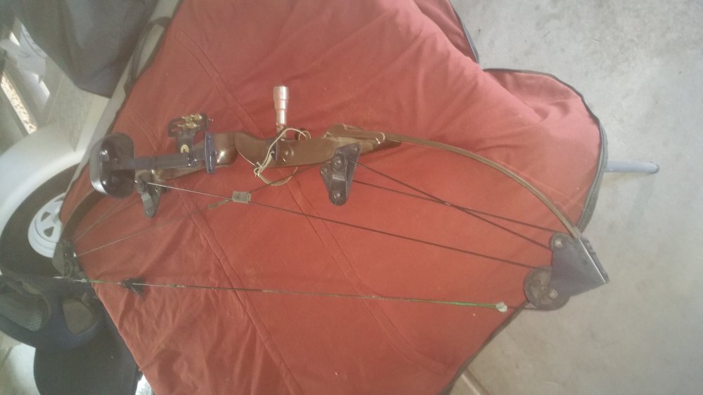 20200926_133705.jpg