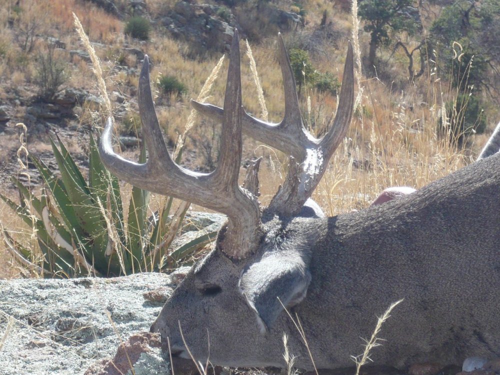 2010 NM Coues Hunt 023.jpg